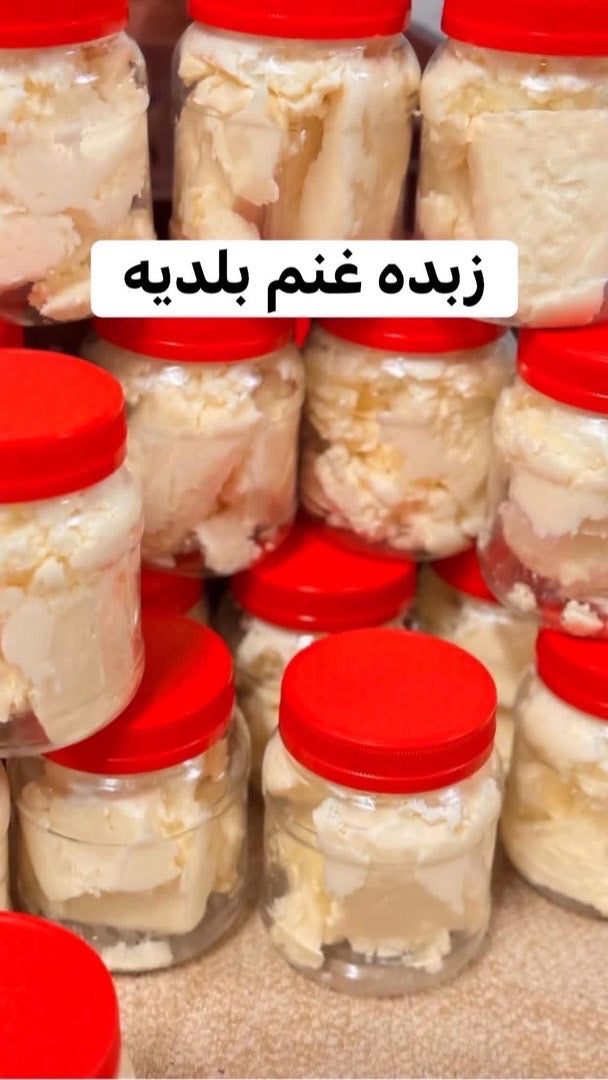 Zibda  |Sheep ghee|زبده غنم
