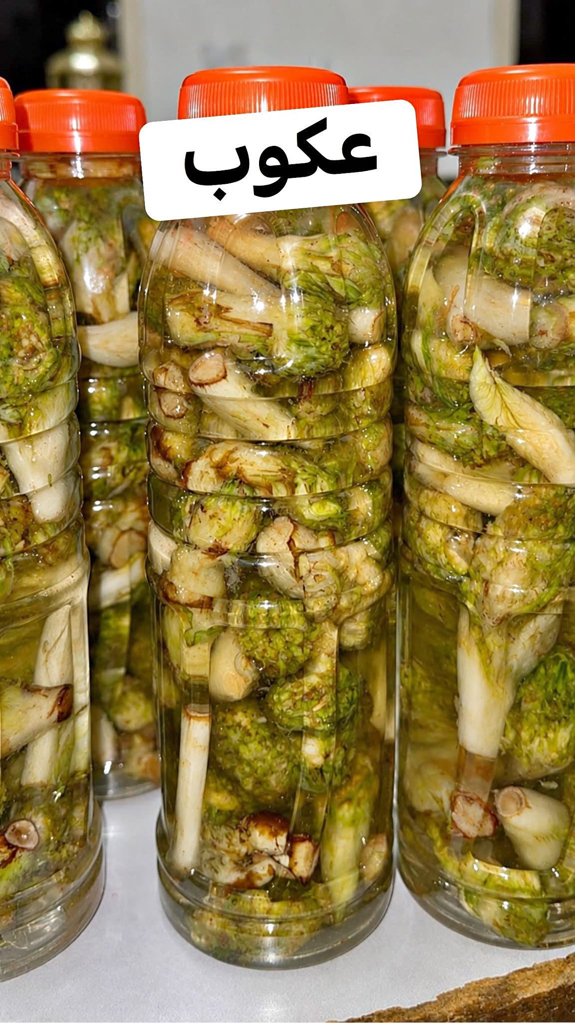 Akoob |عكوب بلدي